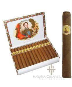 Bolivar Petit Coronas