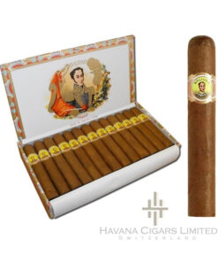 Bolivar Royal Coronas
