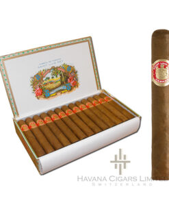 Saint Luis Rey Regios