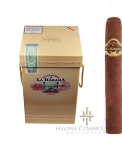 San Cristobal Jarra Torreon LCDH