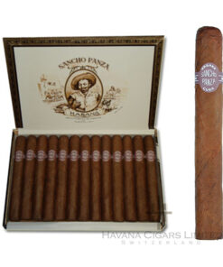 Sancho Panza Non Plus